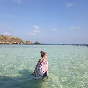 novelty print beach beachy boho sheer kimono